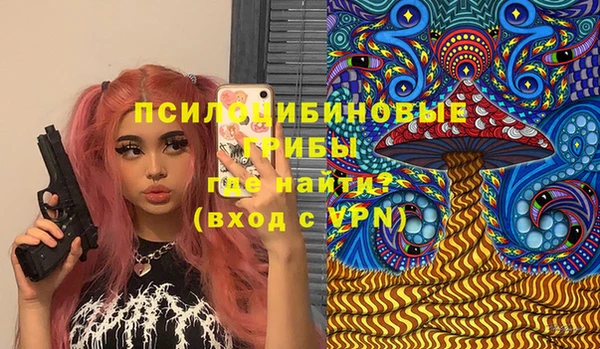 индика Вяземский